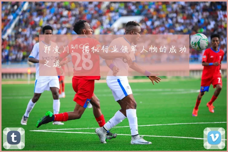 郭凌川：揭秘行业领军人物的成功之道