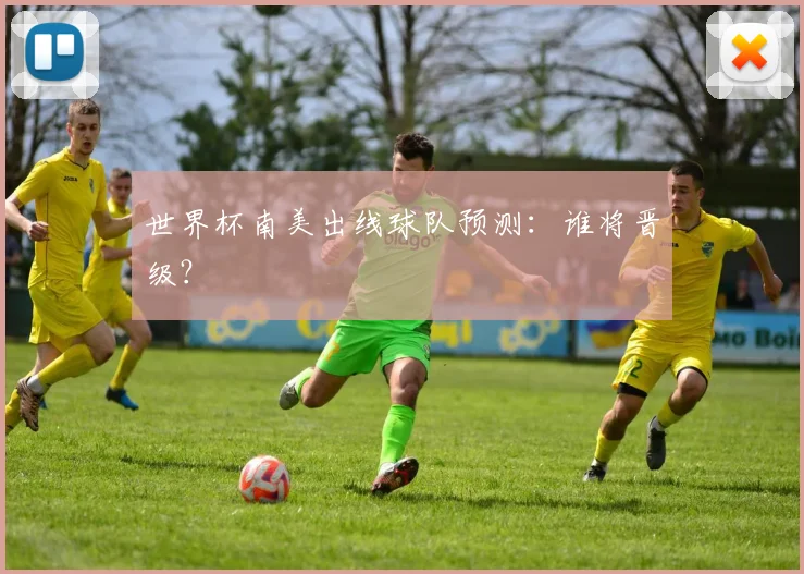 世界杯南美出线球队预测：谁将晋级？